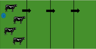 Figure 3. Strip Grazing
