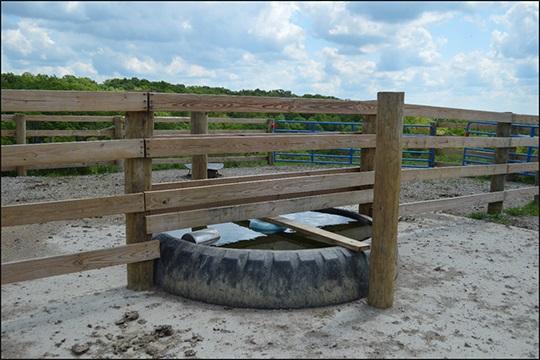 Figure 2: Large volume tire waterer tank installed in heavy-use area.