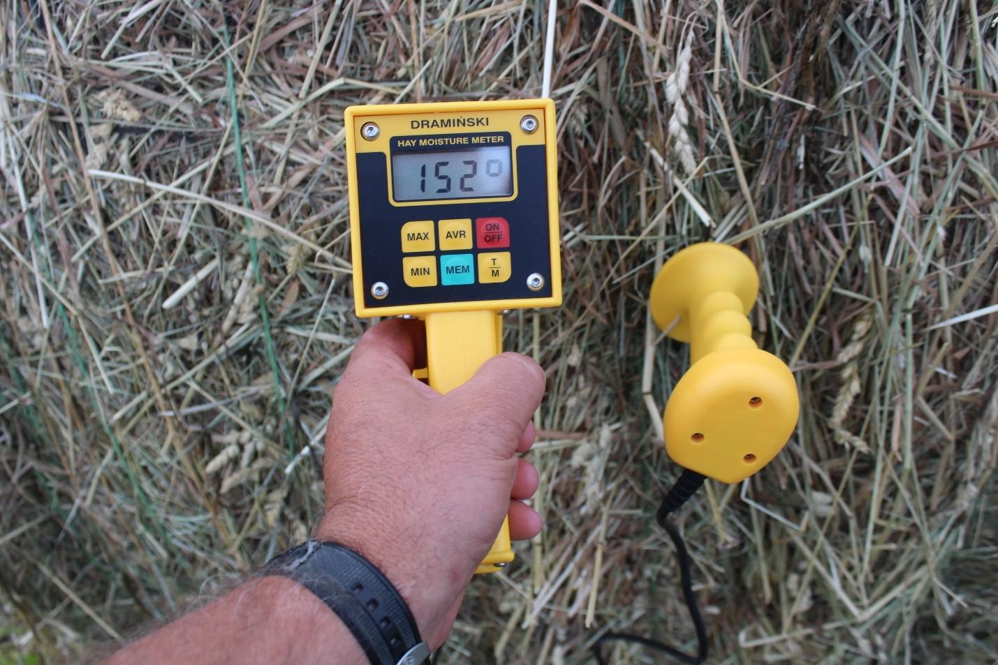 Figure 2.  This hay was baled above the 18-20% moisture range and has reached an internal temperature of more than 150 degrees Fahrenheit.  If stored in a tightly packed hay barn, this bale could start a hay fire.