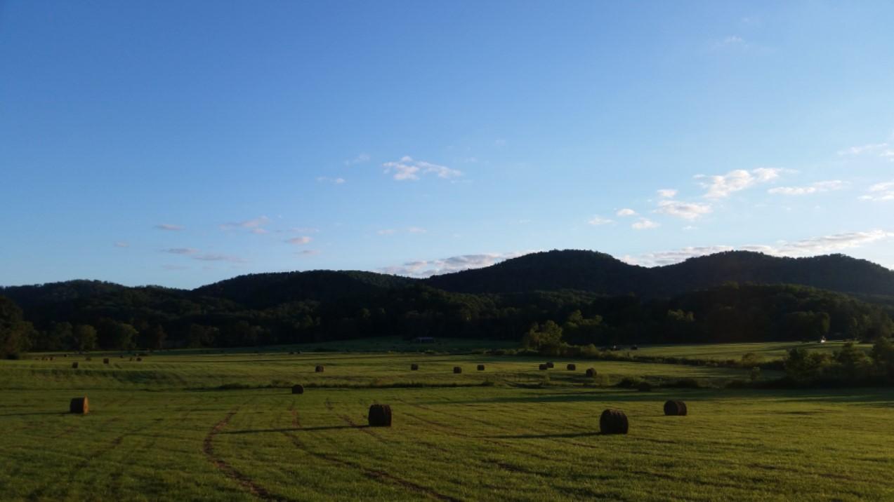 Pasture hay field