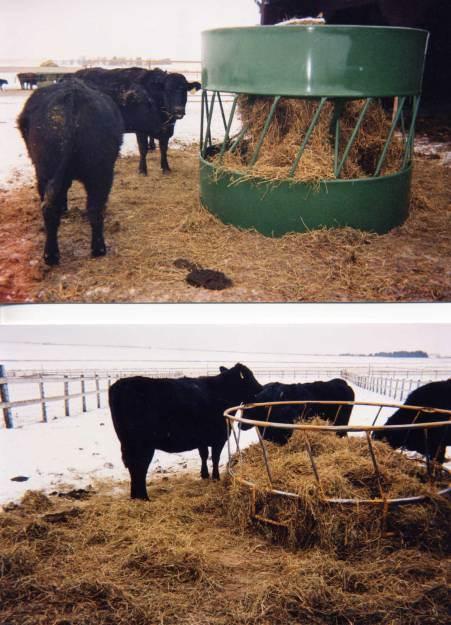 The metal sheeting on the cone feeder (top photo) reduces hay loss significantly compared to the ring feeder with no sheeting (bottom photo). Photo by Jeff Lehmkuhler
