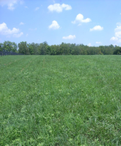Species composition of forage varies in each pasture, so be sure to evaluate each pasture separately.