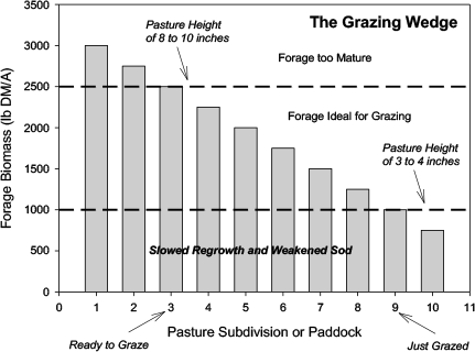 Figure 1. The “grazing wedge” simply refers to having pasture subdivisions or paddocks at varying stages of regrowth from just grazed to ready to graze.