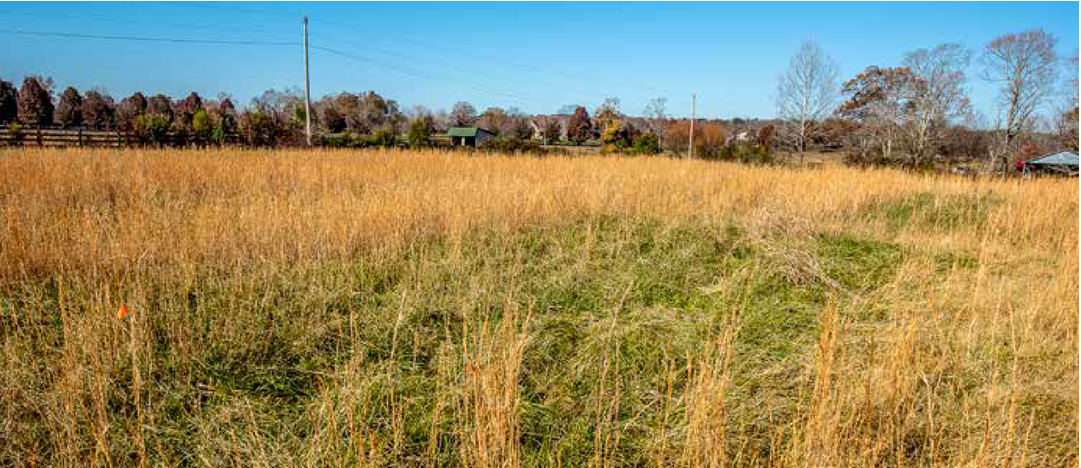 Additions of nitrogen and potassium drastically reduced broomsedge in this Kentucky hayfield.